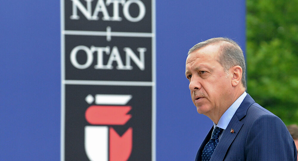 Webinar "A transformação da Turquia na Era Erdoğan: Implicações para a segurança Euro-atlântica"