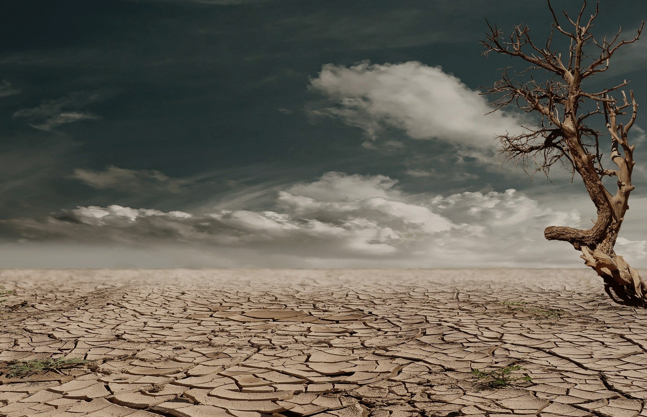 Conferência "Impactos Sociais, Políticos e Ambientais das Alterações Climáticas"