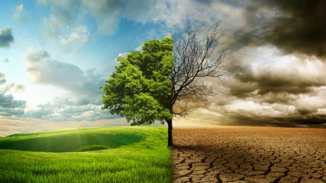 Ciclo de Conferências Alterações Climáticas e Defesa | “Governança global e alterações climáticas”